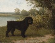 A black water dog with a stick by a lake Jacques-Laurent Agasse